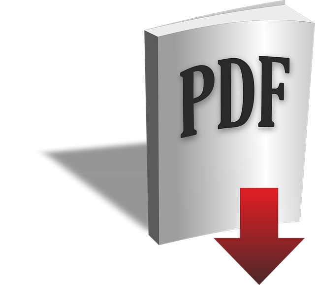 Astute pdf